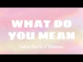 Download Lagu Justin Bieber - What do you mean (Lyrics video)