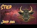 Lagu ♉ Stier - Jahreslegung 2026 ♉