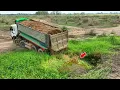 Download Lagu Be Nicely Getting New Land up With First HYUNDAI Unloading \u0026 Expert Operating Of SHANTUI DOZER Push