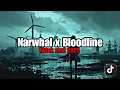 Download Lagu NARWHAL X BLOODLINE SLOWED VERSION 🎵