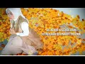Download Lagu BUKAN SELEMBAR TISSUE || SELFI YAMMA