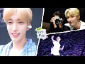 Download Lagu [SVT Record] HAPPY 겸이로그😁 l 브이로그 겸🩷 커버 영상 비하인드 겸🩵 | 캐럿들과 행복했던 FOLLOW AGAIN💎