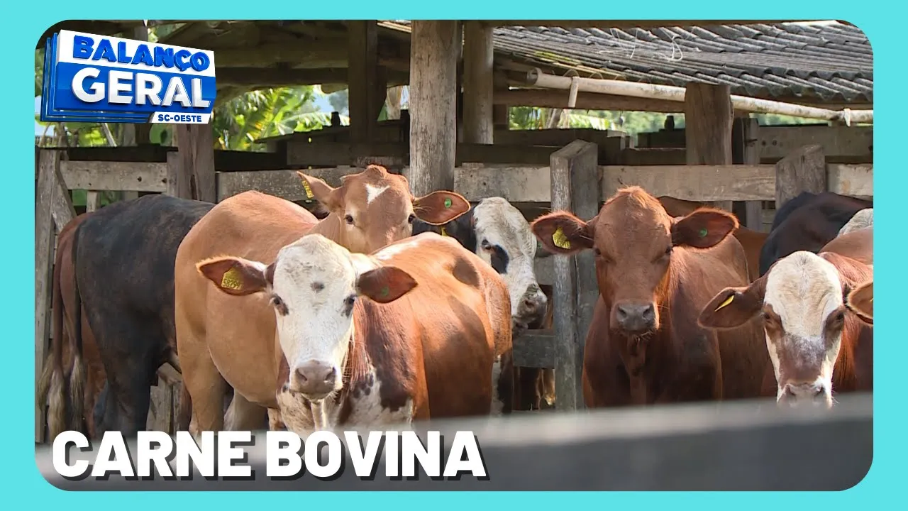 Brasil suspende exportação de carne bovina para a China após caso de vaca louca