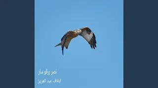 نصر برقو سار دندنها