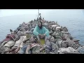 M I A - BORDERS