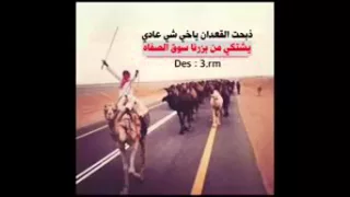 شيلة ذبحت القعدان ياخي شي عادي دندنها