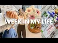 Download Lagu A week in my life STARTING OVER after 6 years abroad (new culture, what i eat, work days)