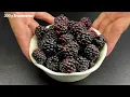 🍧Never buy ice cream again! This creamy blackberry ice cream tastes absolutely heavenly!