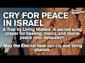 Download Lagu Cry for Peace in Israel 🎙️ | A Devotional Prayer for Jerusalem and the Nations