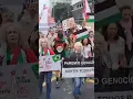 Download Lagu Global day of action: Pro-Palestine march in São Paulo, Brazil