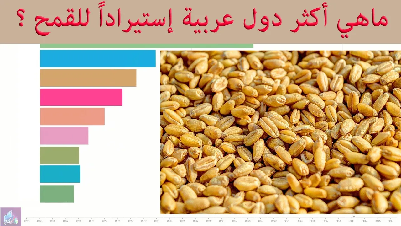 أكثر دول عربية إستيراداً للقمح