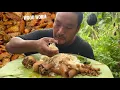 Download Lagu Eating Most delicious and expensive wood worm and buffalo leg // Authentic Naga dish.