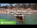 Us at the Zoo A 20-year tribute to YouTube s First