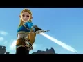 Hyrule Warriors Switch - All Character Victory Animations