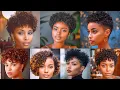 100 Stunning Curly Pixie Haircuts and Short Hairstyles for Women of All Ages Short Curly Cuts