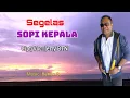Download Lagu SEGELAS SOPI KEPALA || Lagu Pop Indonesia Timur || Cipt/Voc: Jerry BTN.