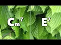 Cm7 to E7 Backing Track