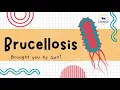Brucellosis Explained The Deadly Bacteria You Can Catch from Animals Microbiology in 2 Minutes