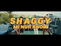 Mi Nuh Know Shaggy Remix (DJ King Justice)