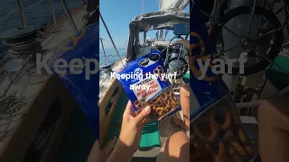 When it hits it hits. What are your tricks? #seasickness #travel  #sailing #byaboathesaid