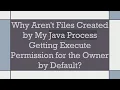 Why Aren t Files Created by My Java Process Getting Execute Permission for the Owner by Default