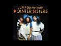 The Pointer Sisters "Jump (For My Love)"  DJ promo remix