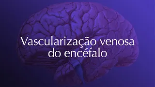 Neuroanatomia - Vascularização Venosa do Encéfalo