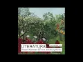 Literatura  'Desert Karavan'  Elfenberg Remix (connected 069)