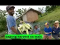 Download Lagu Kuya Joel nagpitas ng Mais pang merienda namin sa viewdeck