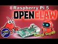 OpenClaw on Raspberry Pi 5 Full Setup Guide AI Agent Demo Step-by-Step