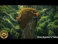 Download Lagu Risking Life Climbing a 200 Meter Tree to Harvest Wild Honey  A Discovery Worth Experiencing