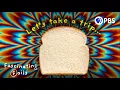 How Moldy Bread Can Change Your Brain