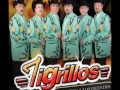 tigrillos - son tus perjumenes mujer