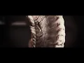 Mephorash - Sanguinem (Video Premiere | Censored)