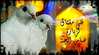 گلبي مشتاگ لزيارة ضامن الجنة ستوريات حسينية نغمة رنين حسينية حالات واتساب للامام الرضا ع 