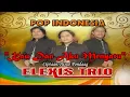 Download Lagu KAU DAN AKU MENYATU||TRIO ELEXIS||LAGU POP INDONESIA