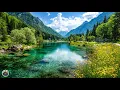 Download Lagu Самая красивая мелодия в мире! Успокаивающая музыка лечит сердце и успокаивает нервную систему