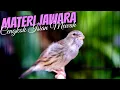 Download Lagu MATERI JAWARA ISIAN MEWAH - MASTERAN KENARI ISIAN BLACKTHROAT GACOR SUARA JERNIH FAVORITE