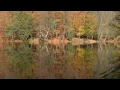 Batsın Bu Dünya(Bestenin ilkhali)-Orhan Gencebay–Enstrümantal-HD