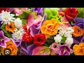 Lowes Garden center Las Vegas