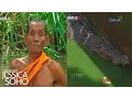 Download Lagu Kapuso Mo, Jessica Soho: Kilabot ng mga buwaya