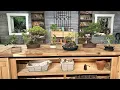 Bonsai Basics How to Get Started Making It Grow