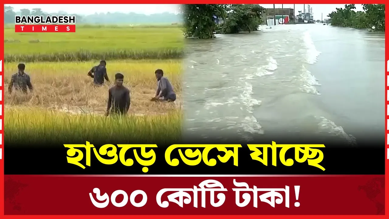 হাওড়ে ফসল রক্ষার নামে লুটপাট ৬০০ কোটি টাকা