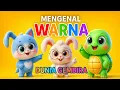 Download Lagu Mengenal Warna 🎨🌈 | Lagu Anak Edukatif \u0026 Ceria | Dunia Gembira