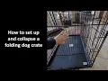 How to set up and collapse a wire dog crate