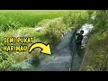 Download Lagu Tangkap Ikan Dengan PERANGKAP Ikan‼️BuBu Ikan Jaring Perangkap Ikan Terbaik Semi PUKAT - Abu Manyak