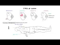 Download Lagu Approach to Shock - types, hypovolemic, cardiogenic, distributive, anaphylaxis, pathology, treatment