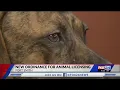 Fox Fort Smith passes pet licenses animal shelter measures