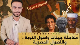 مفاجئة جينات النوبة    والأصول المصرية دندنها