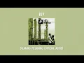 Download Lagu BIP - Dilarang Melarang | Official Audio Video